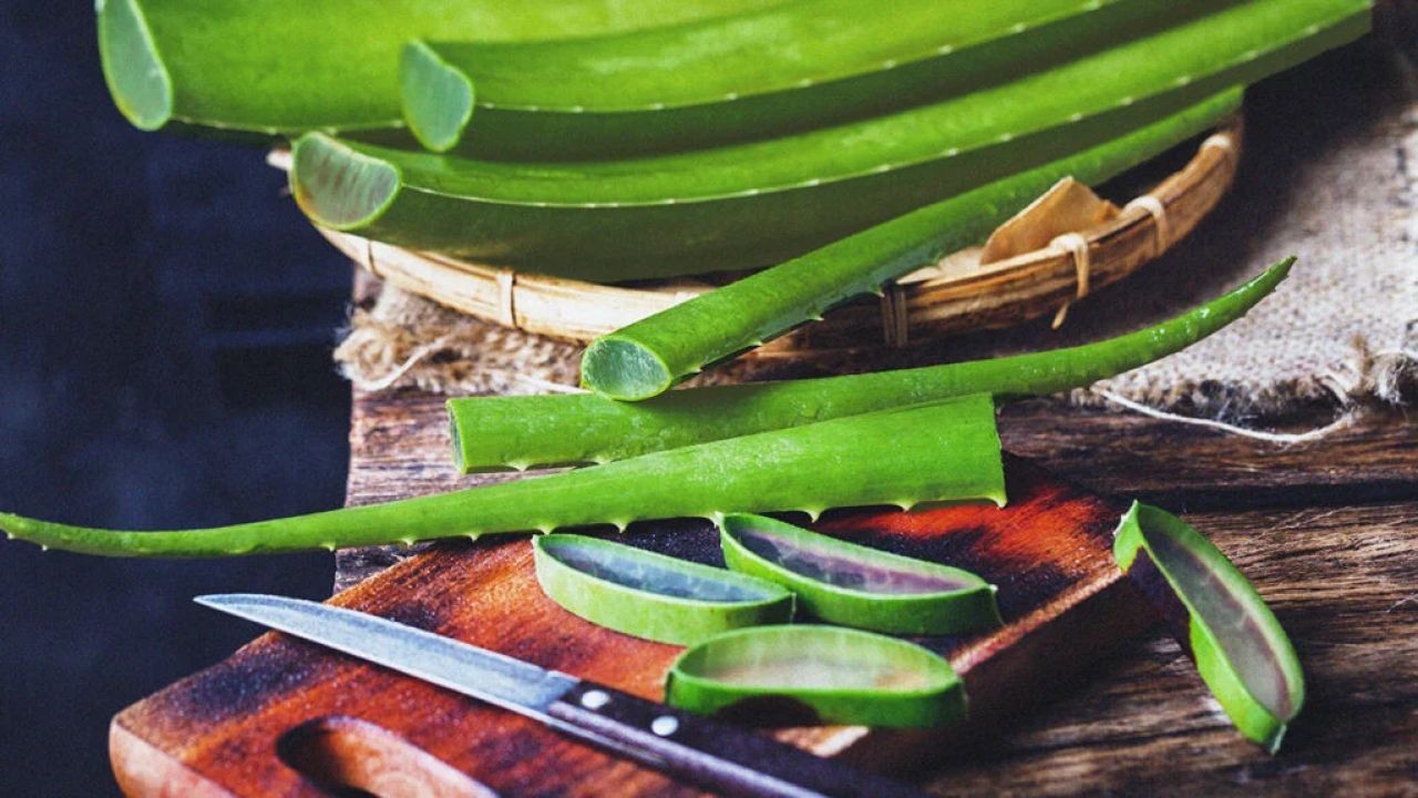 The Untold Truth About Natural Remedies in New Zealand