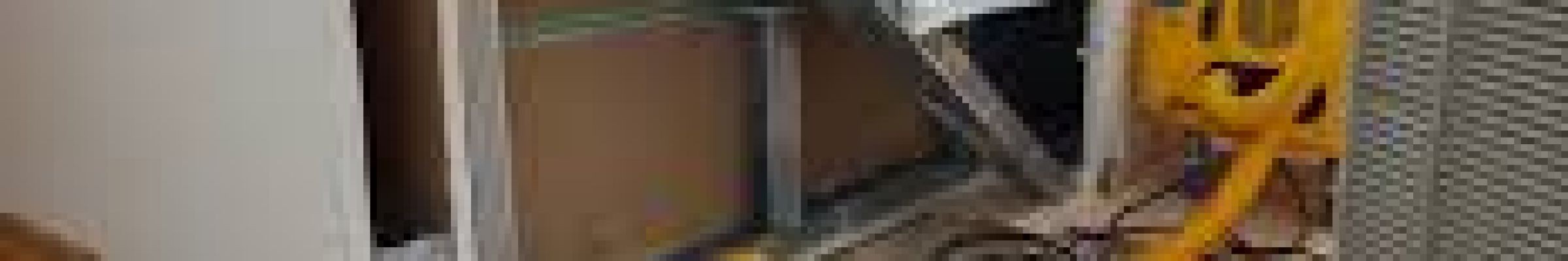 Deep Carpet Cleaning Elizabeth