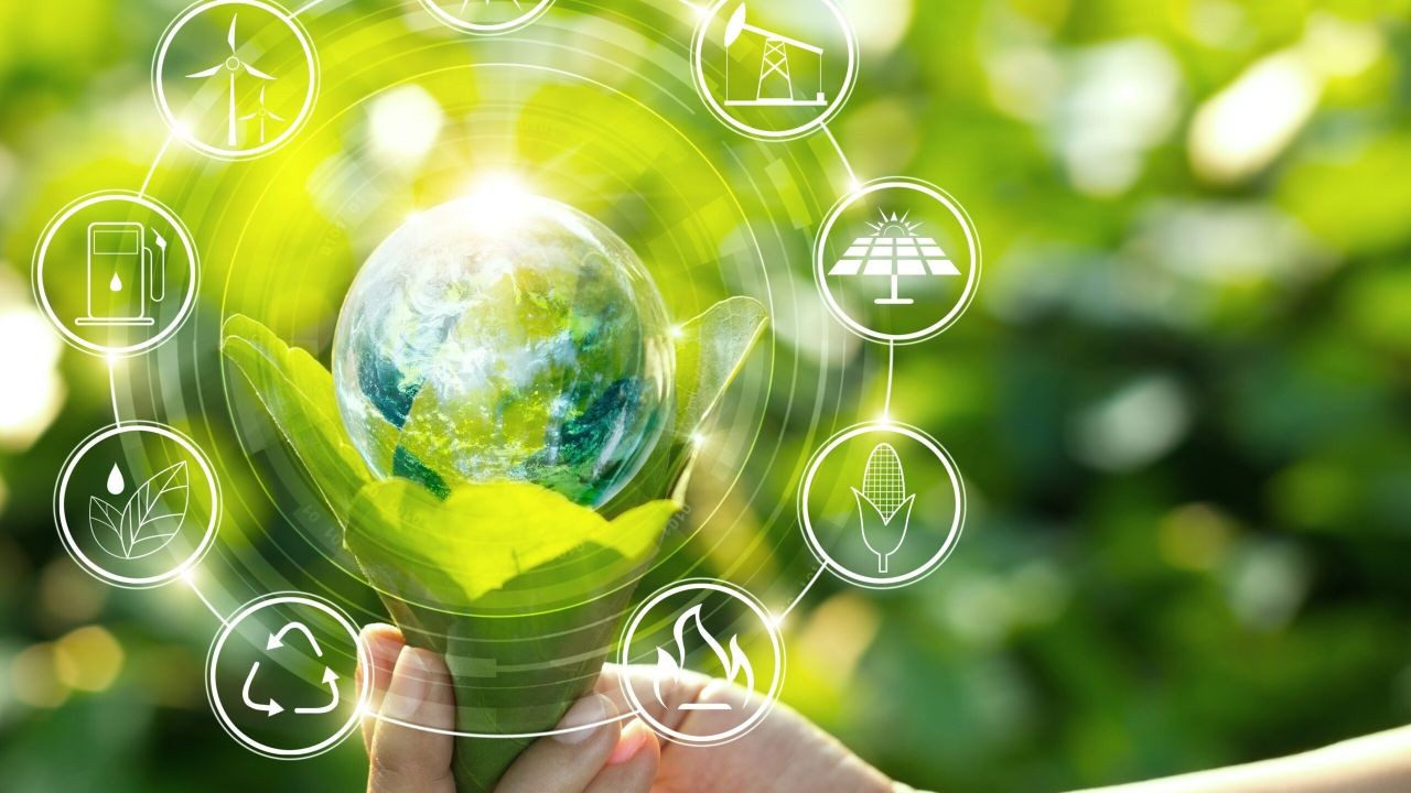 New Zealand’s Renewable Energy Use Has Increased by 50% in the Last 5 Years