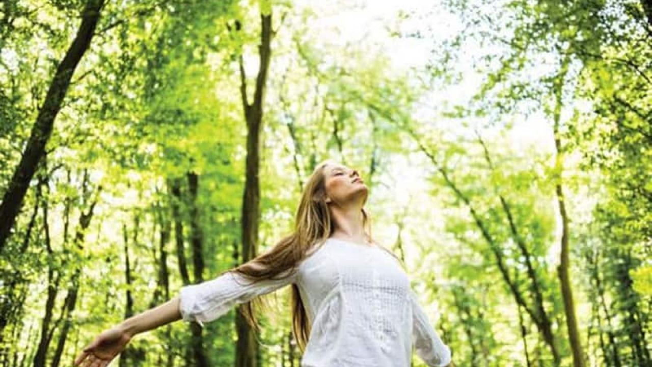 Are Natural Wellness Trends in New Zealand Just Fads?