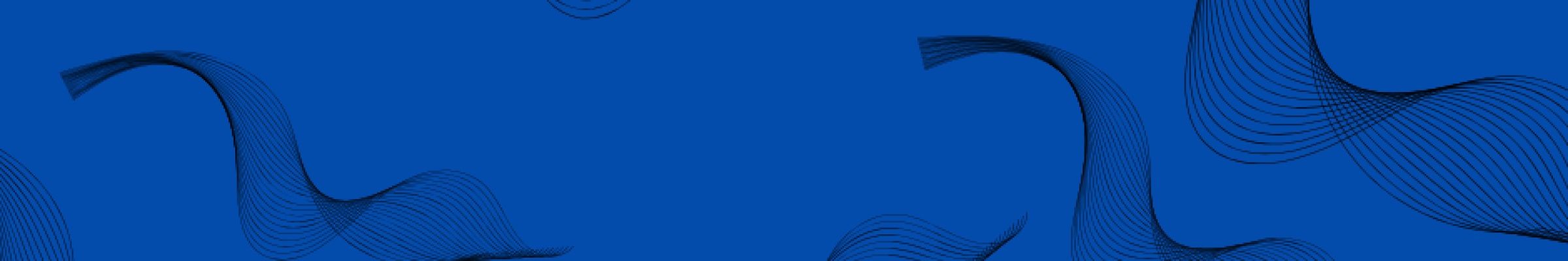 Max Solution Consulting Services