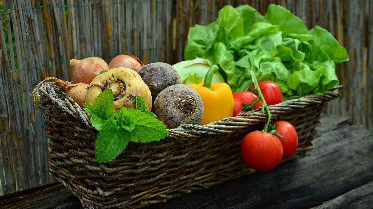 The Rise of Eco-Friendly Food in New Zealand: What to Expect in the Future