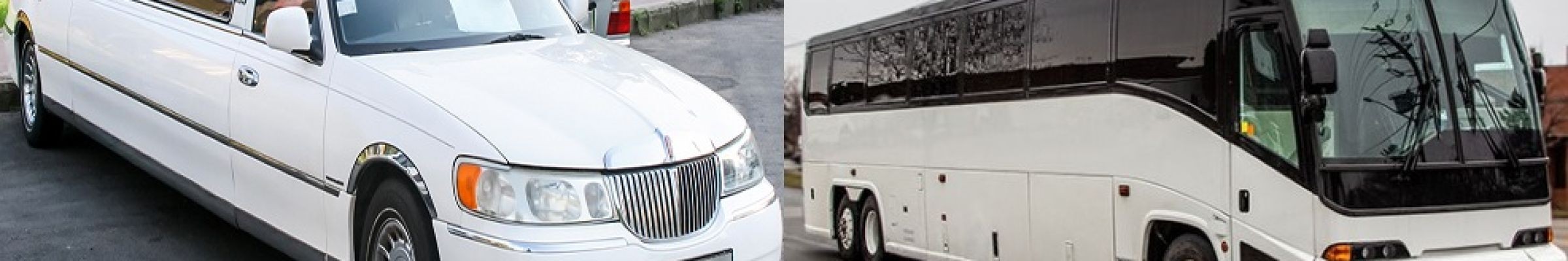 Lavish Limo