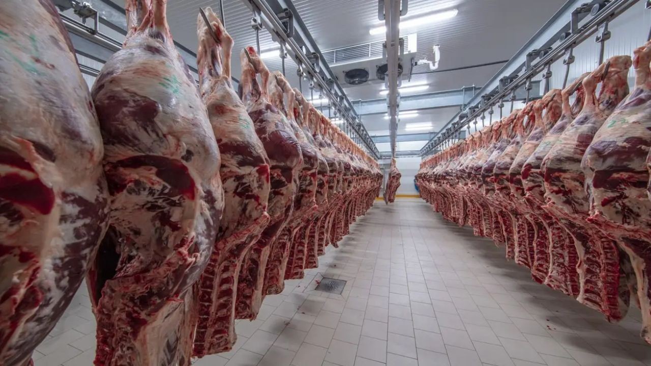 Will New Zealand’s Meat Industry Survive the Shift to Plant-Based Diets?