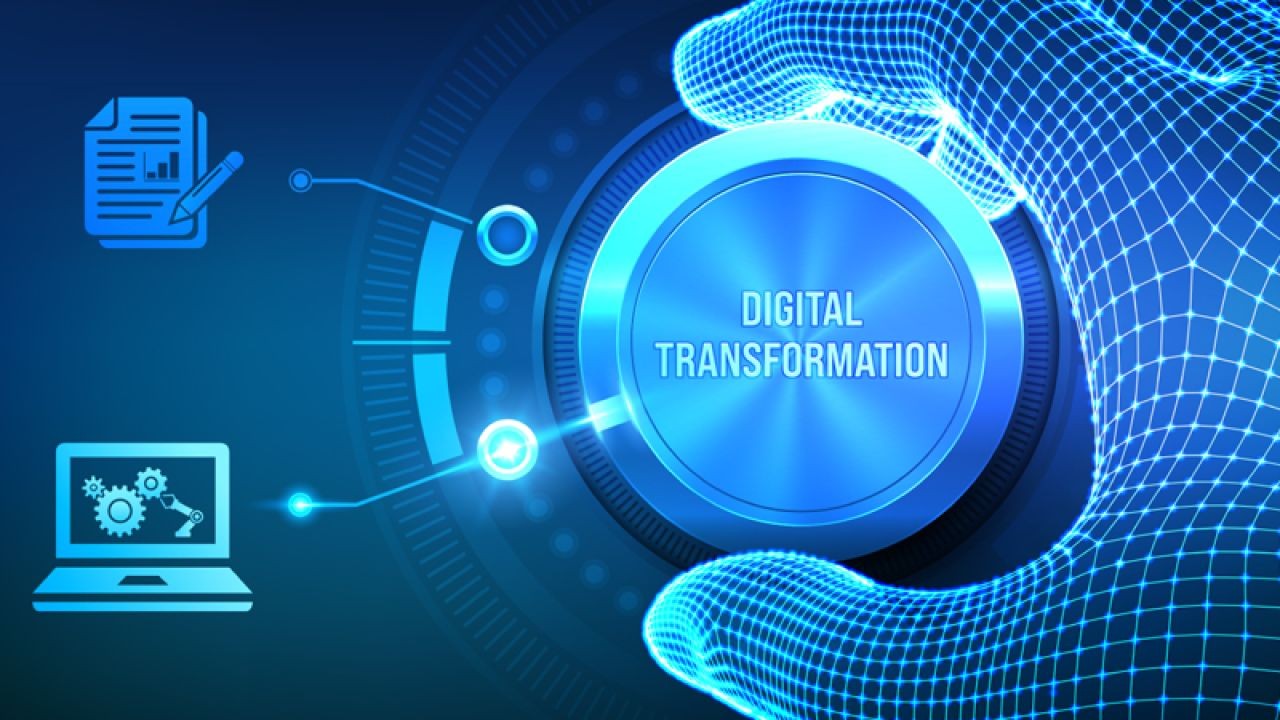 New Zealand’s Digital Transformation vs. Traditional Industries: Can They Coexist?