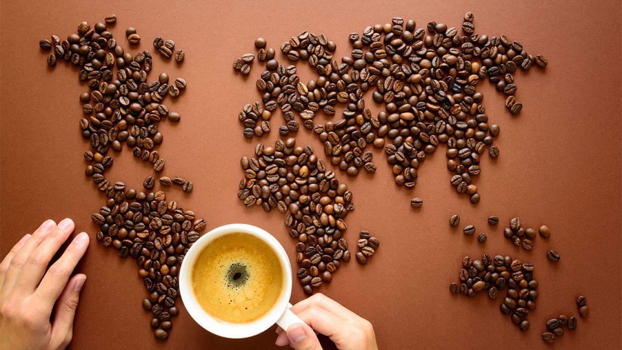 How New Zealand’s Coffee Culture Became an International Trend: A Case Study