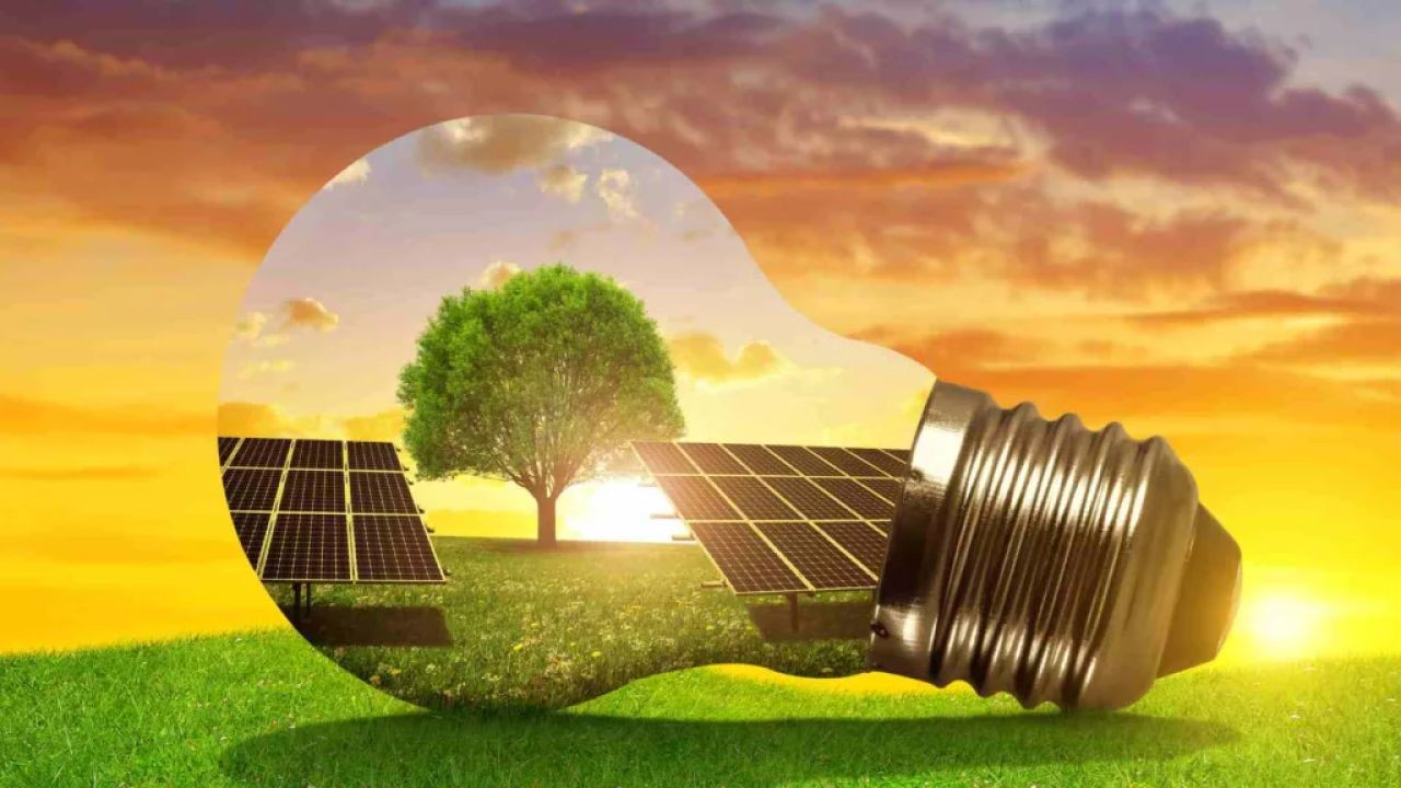 Top 10 Green Innovations That Are Shaping New Zealand’s Future