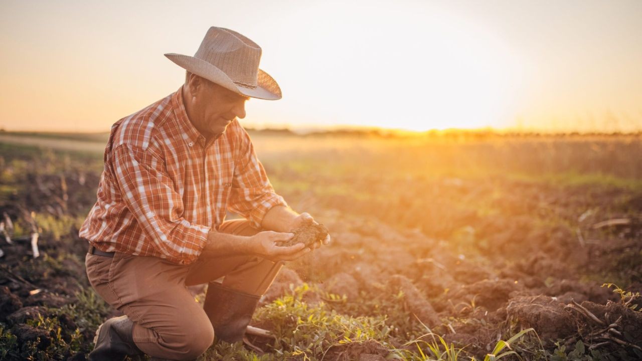 Farmers vs the Future: Why NZ's Climate Battle Is Stuck in the Paddock, The emissions debate, political lobbying, and rural resistance, Our clean, gre..