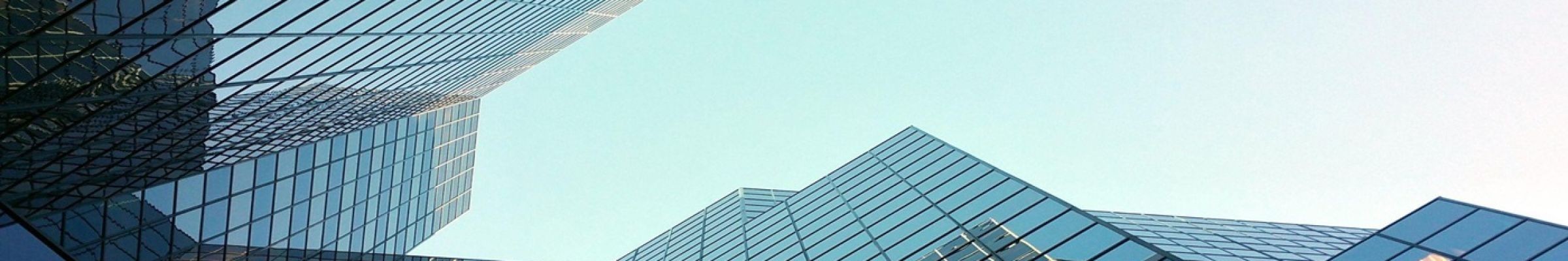 Adam Ship Professional Co 