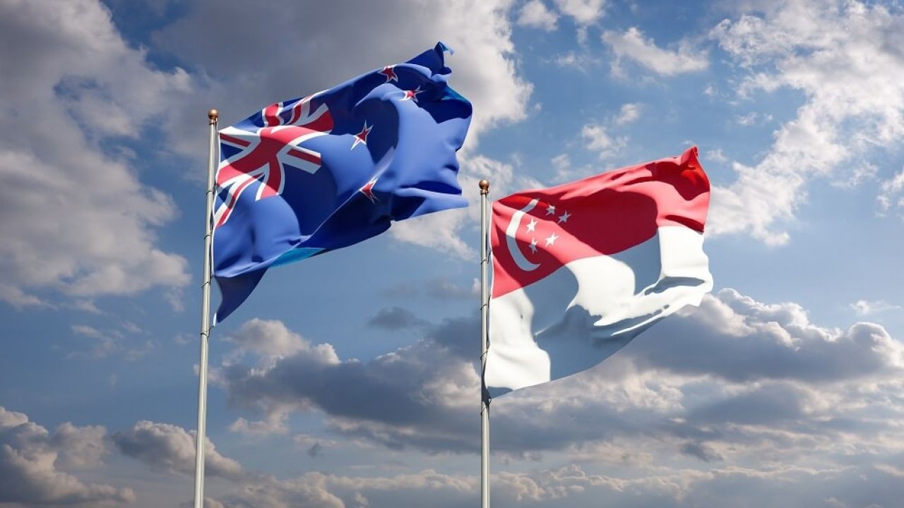 New Zealand vs. Singapore: Which Tech Hub Is Better for Startups?