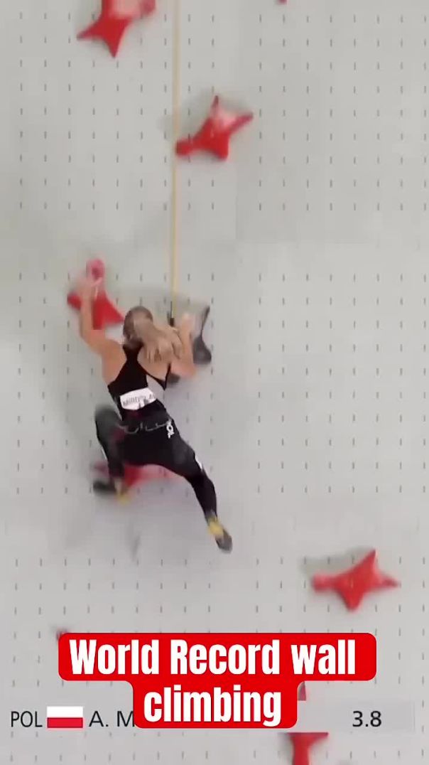 World Record Wall Climbing Achievement! 🧗‍♂️🏆