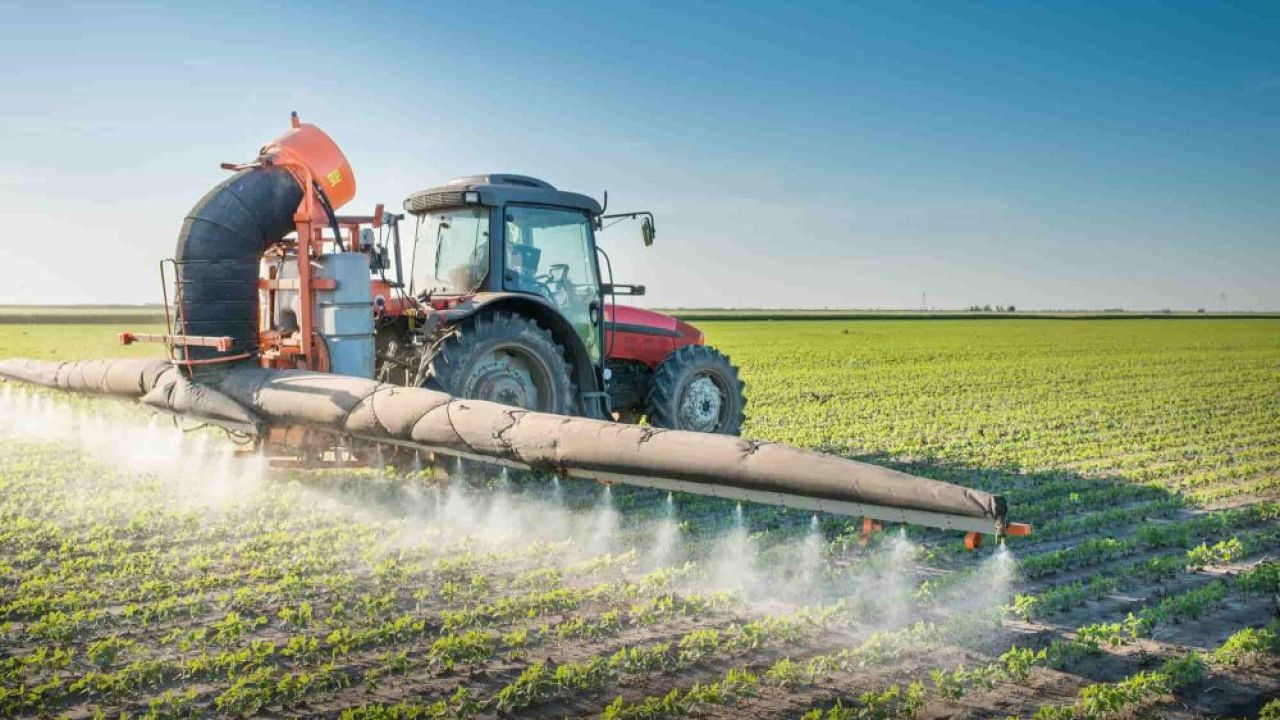 How New Zealand’s Agricultural Innovations Are Changing the Way We Eat