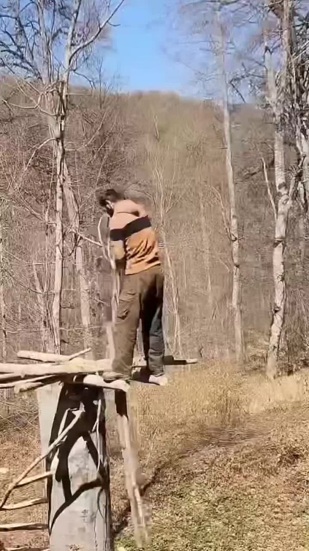 Building Natural Shelters in a Cool, Wild Environment 🏕️❄️