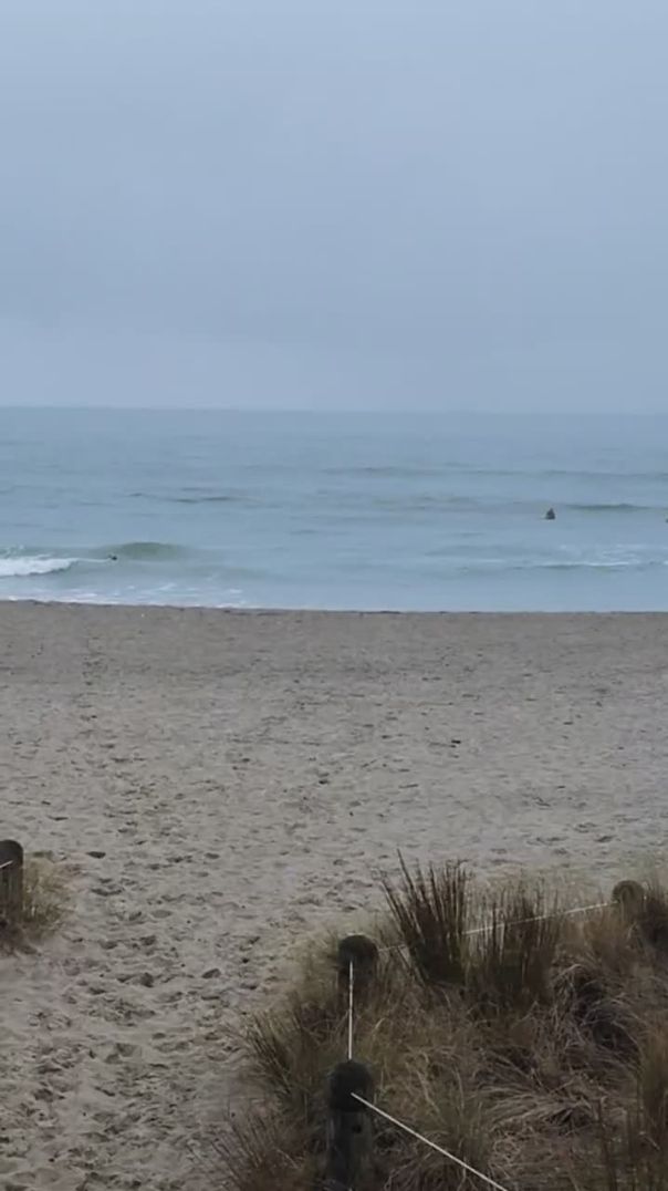 Evening surfing 🌊😀