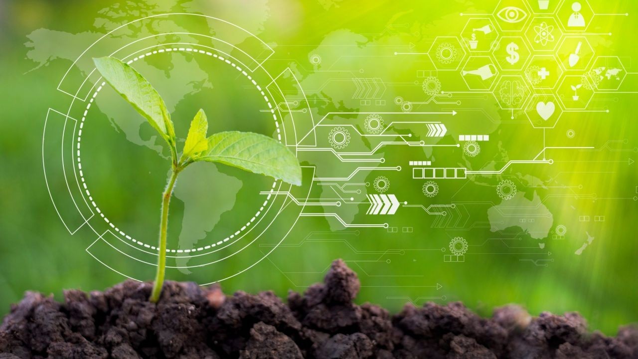 Why New Zealand’s Agricultural Innovations Are Revolutionizing Global Food Production