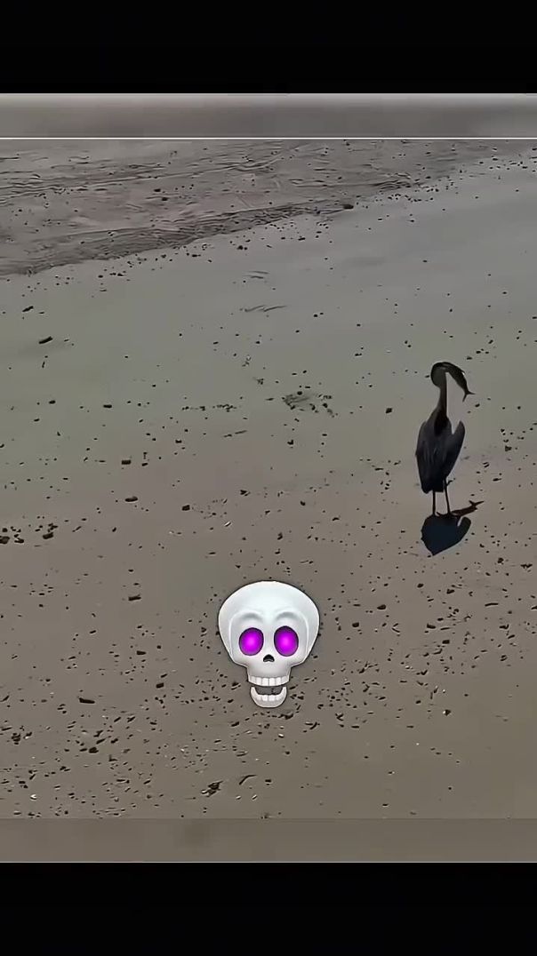 The Moment Right Before Getting Cooked ☠️🔥