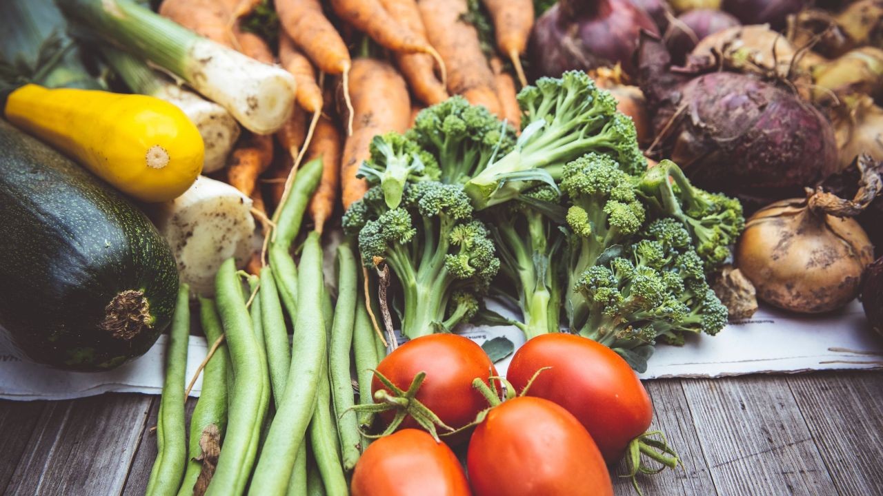 How to Start a Plant-Based Food Business in New Zealand