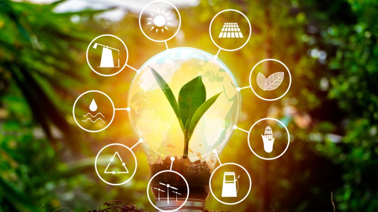 How Auckland Grammar Is Leading the Way in Sustainable Practices Among Schools