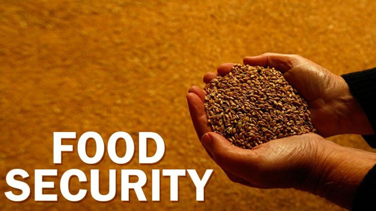 How New Zealand Is Addressing Food Security: What You Can Do