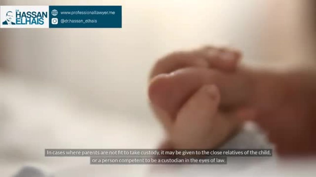Dubai’s Leading Criminal Defence Lawyer- Professional Lawyer - Dr. Hassan Elhais