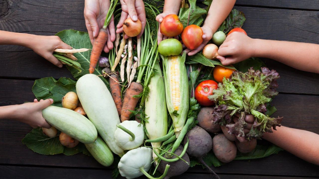 Why New Zealand’s Sustainable Food Practices Are Essential for the Future