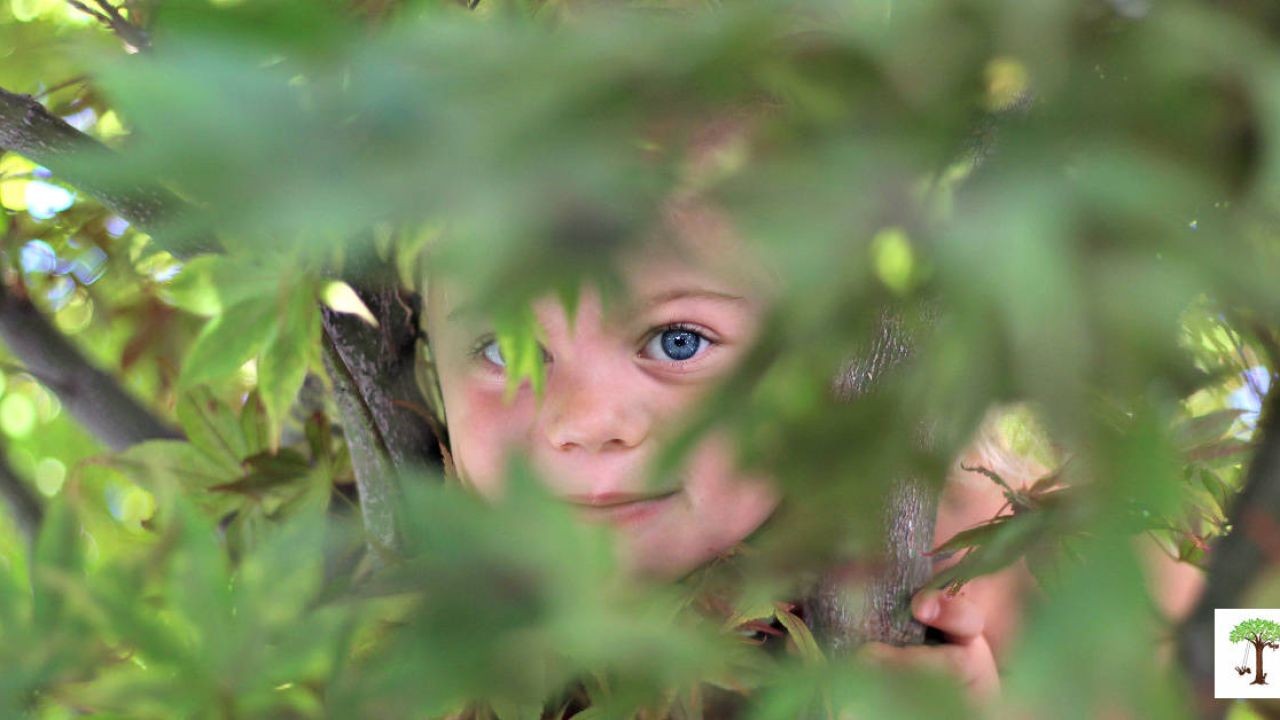 How New Zealand’s Education System Leads the World in Outdoor Learning