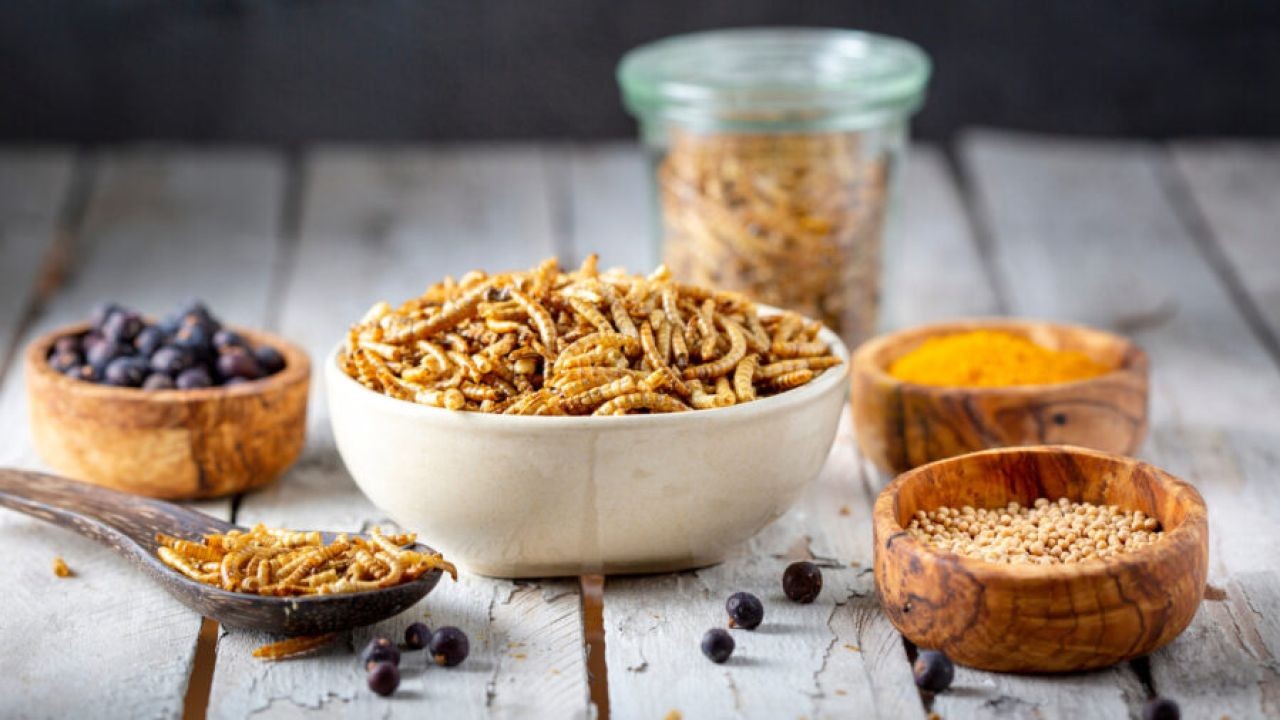 Why New Zealand’s Focus on Alternative Foods Will Benefit the Global Community