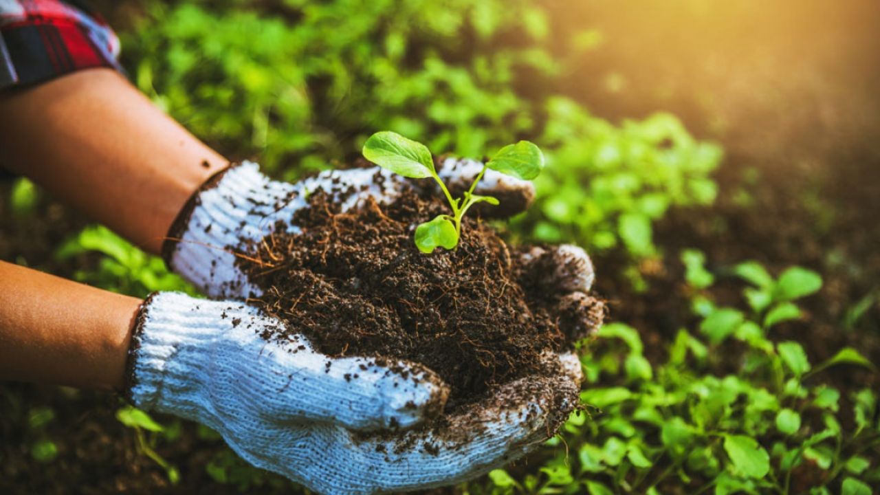How New Zealand Is Balancing Traditional Farming with Innovation