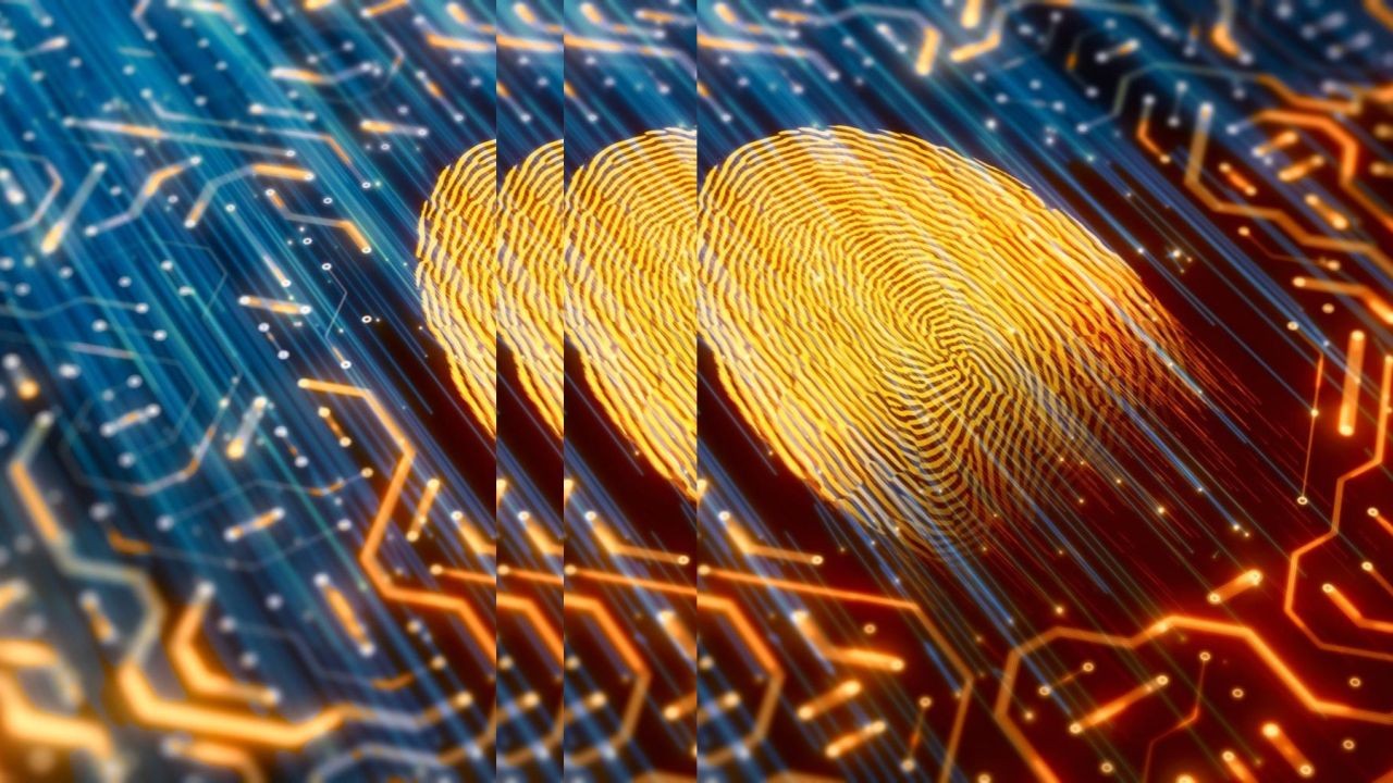 How to Navigate New Zealand’s Digital Transformation Process as a Business