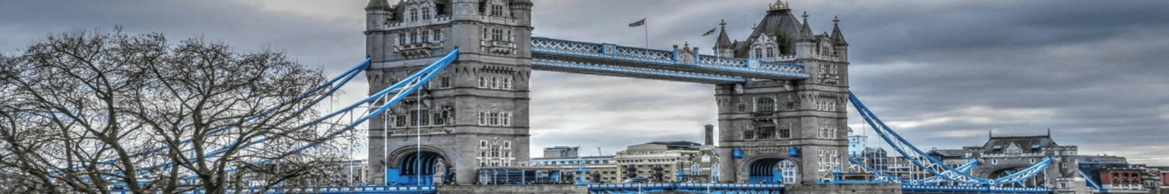 Alele Translation Service 