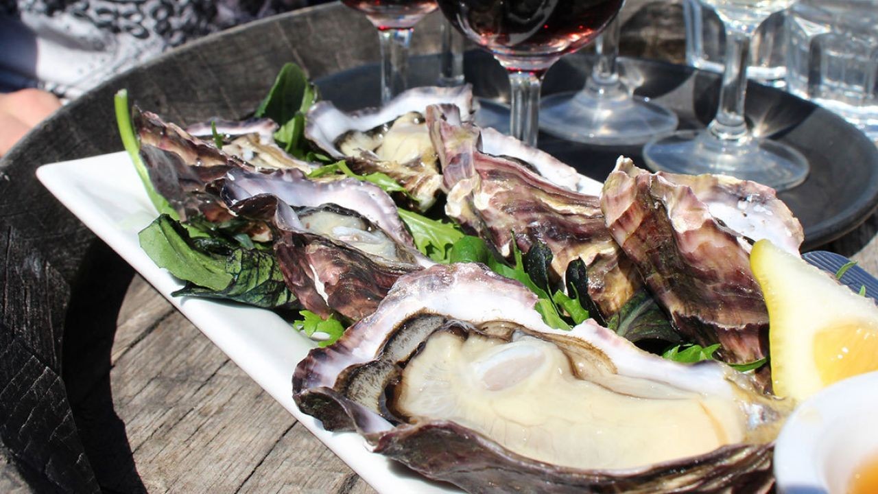 How New Zealand’s Food Exports Are Redefining Global Sustainability