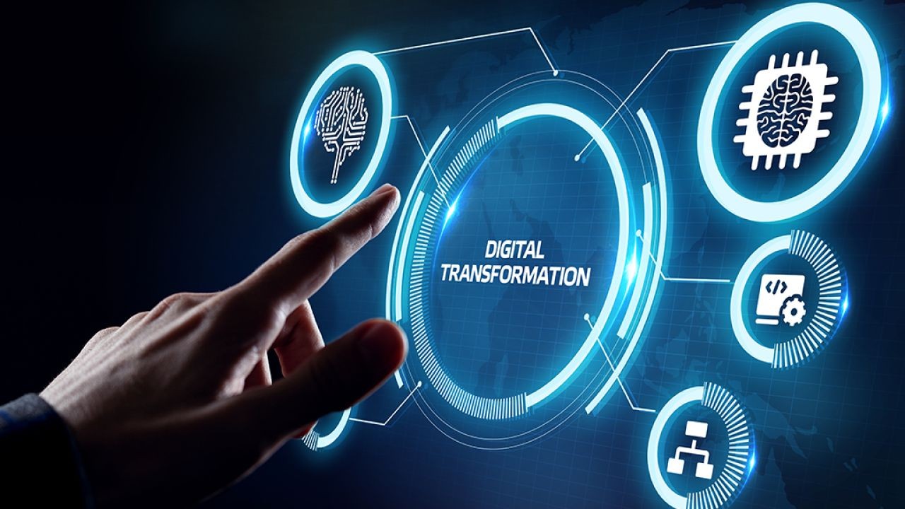 Case Study: A New Zealand Tech Firm’s Journey Through Digital Transformation