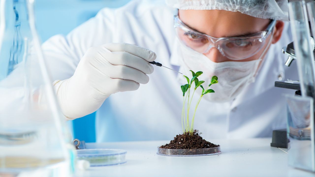 The Role of Biotech Startups in Alternative Investing – The Untold Story Behind Its Rise in NZ