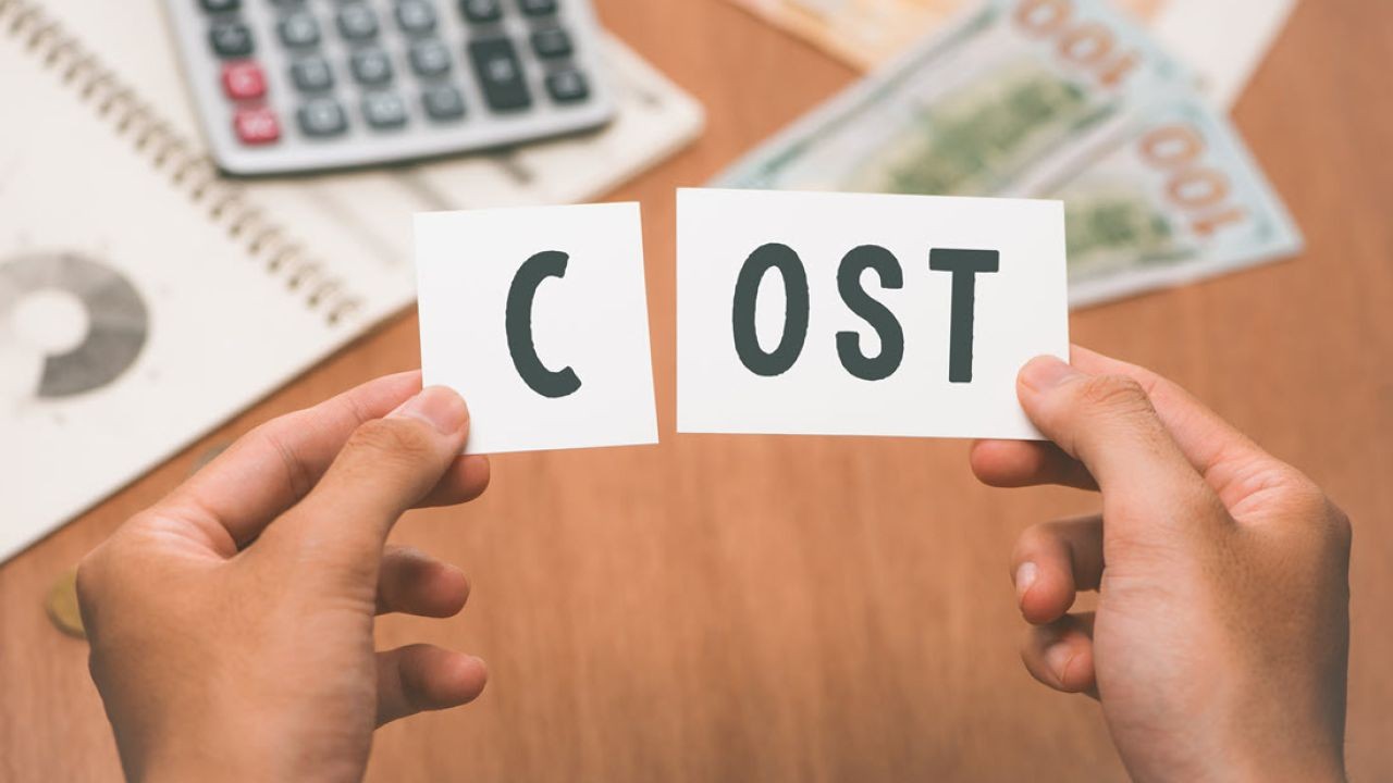 How AI Can Reduce Marketing Costs for New Zealand Startups – Why It Matters More Than Ever in NZ