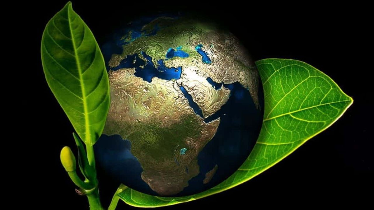 How New Zealand Will Lead in Shaping Global Environmental Policy by 2040 – The Key to Unlocking Success in NZ