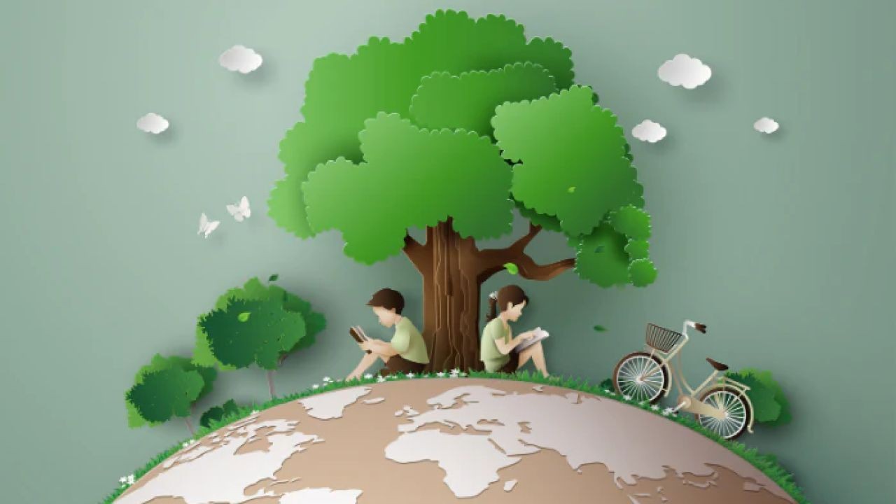 5 Tips for Eco-Friendly Living in New Zealand’s Cities – The Kiwi Blueprint to Success