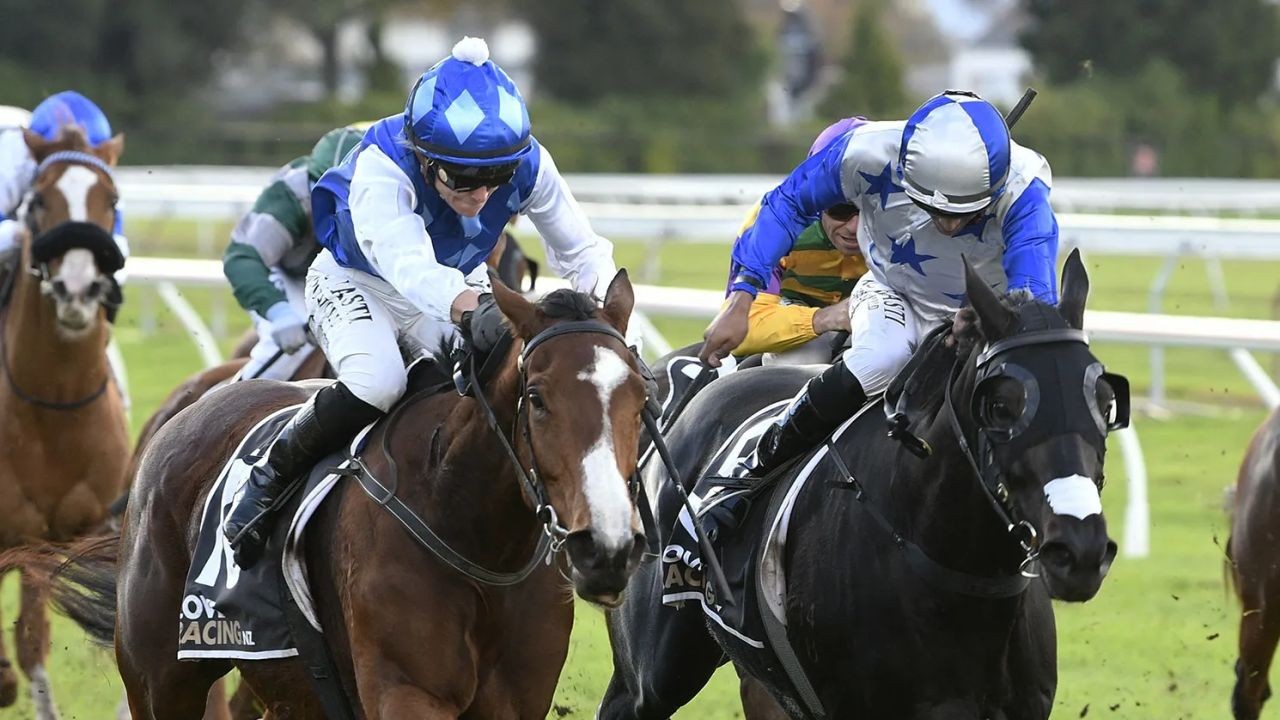 Nigella Lane outruns Dark Destroyer for ‘deserved’ Rotorua Cup victory – The Growth Engine New Zealand Needs Now