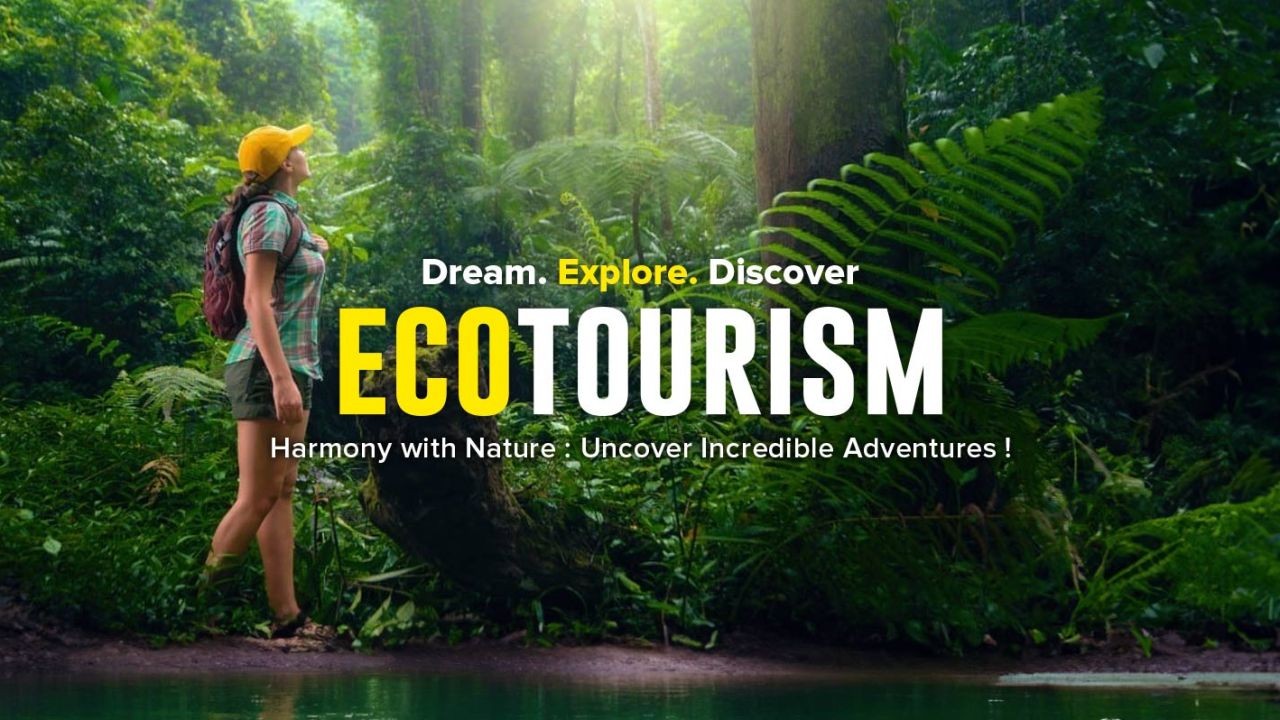 How a Remote New Zealand Village Became a Global Eco-Tourism Hub – (And How to Take Advantage of It)