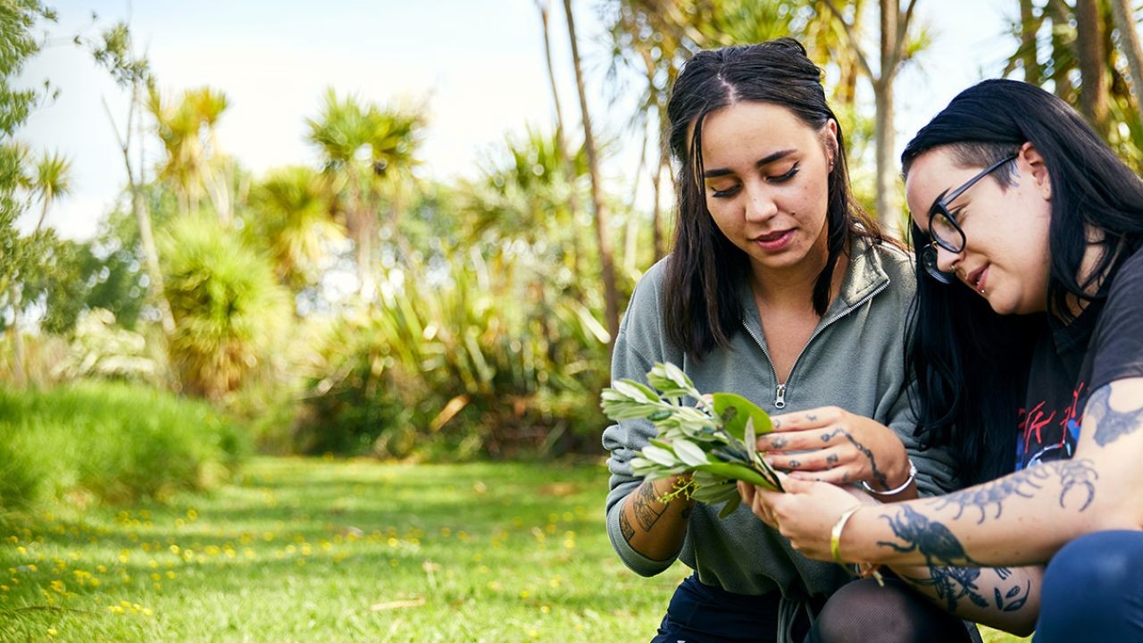 How to Support New Zealand’s Conservation Efforts as a Citizen – A Foolproof Plan for New Zealanders