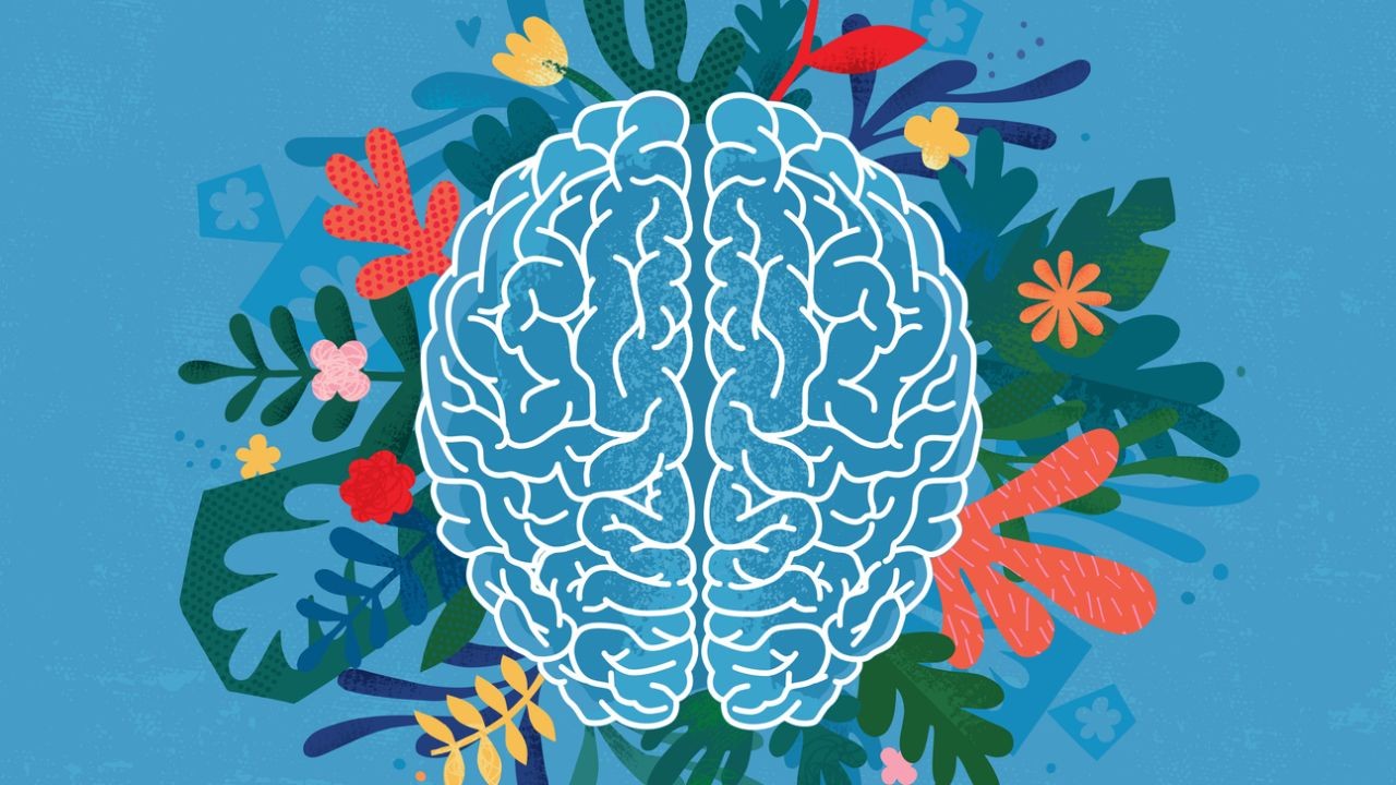 How Government Mental Health Policies Are Evolving – How It’s Powering NZ’s Next Wave of Growth