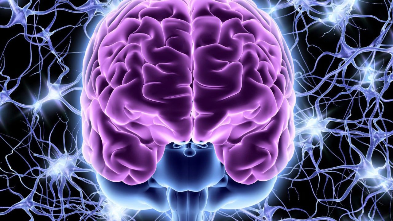 How Can New Zealand Overcome the Challenges of Mental Health Awareness? – Breaking Down What Matters Most