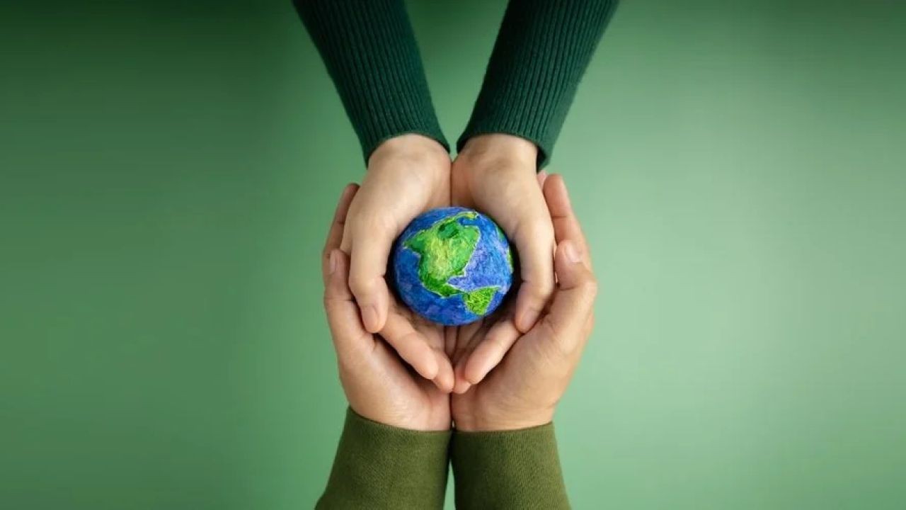 How Sustainable Businesses Will Dominate the New Zealand Market – Why It’s a Game-Changer for Kiwis