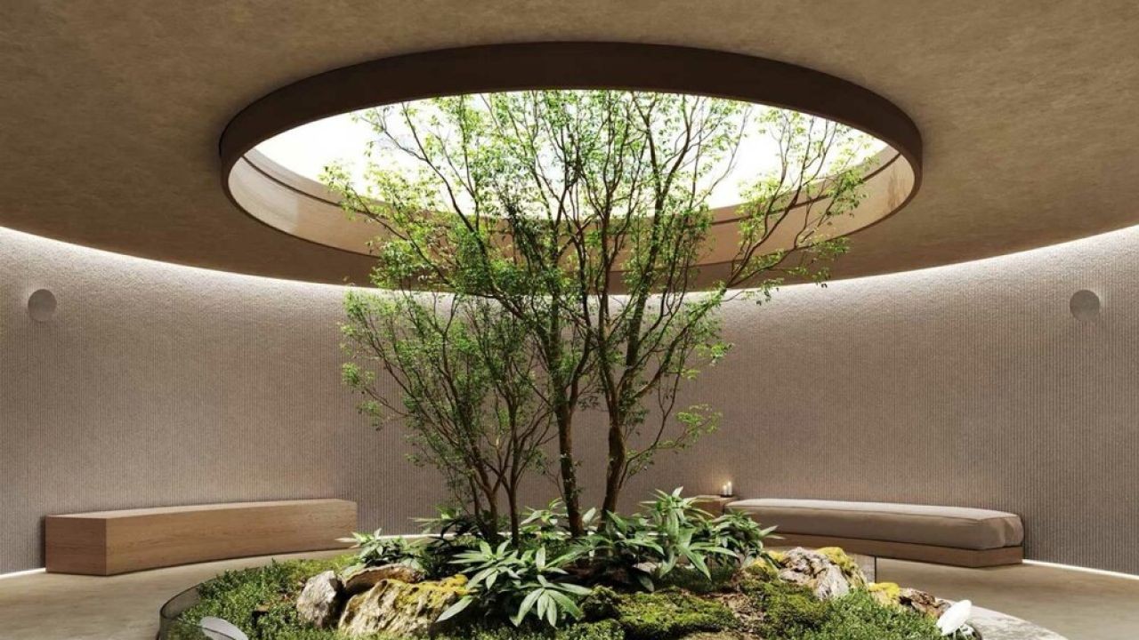 Why New Zealand’s Approach to Eco-Friendly Design Is the Right Way Forward – The Best Guide You’ll Ever Read
