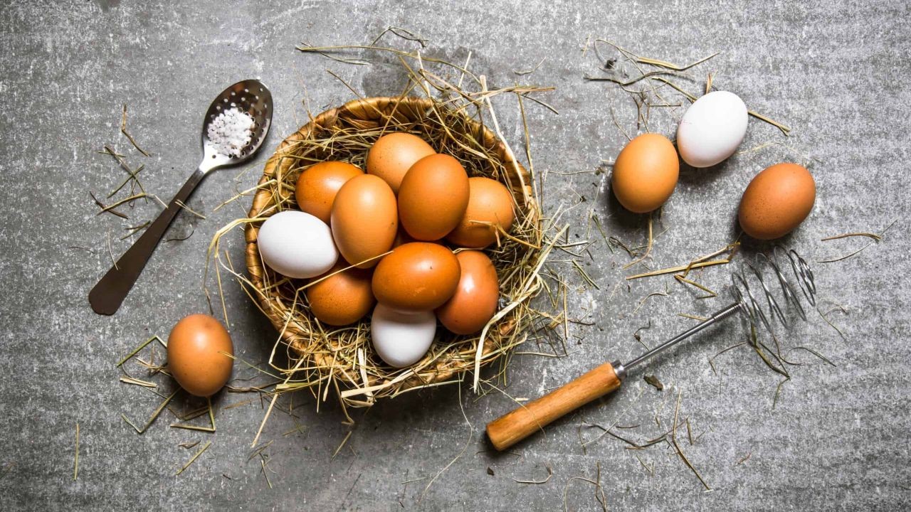 On The Up: The Egg Project - Manawatū business delivers free-range and organic eggs – The Ultimate Kiwi Advantage