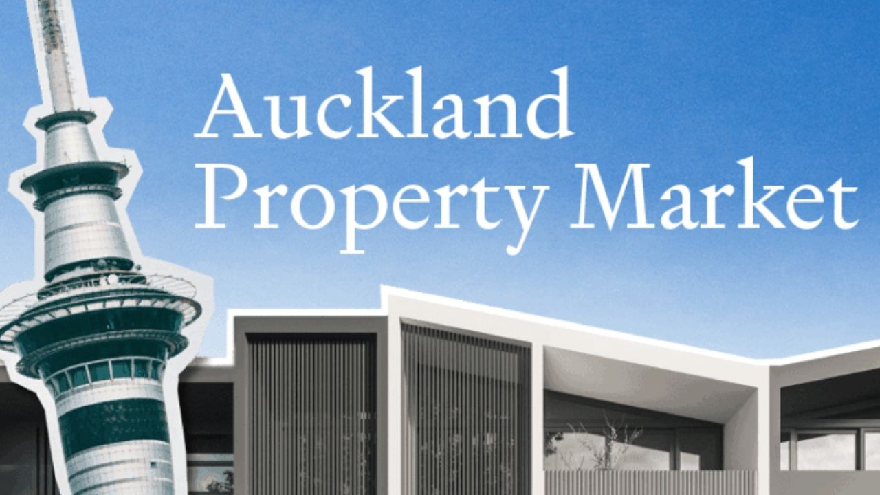 Could the NZ Government Crash the Property Market? Here’s How – What They Don’t Tell You in Business School