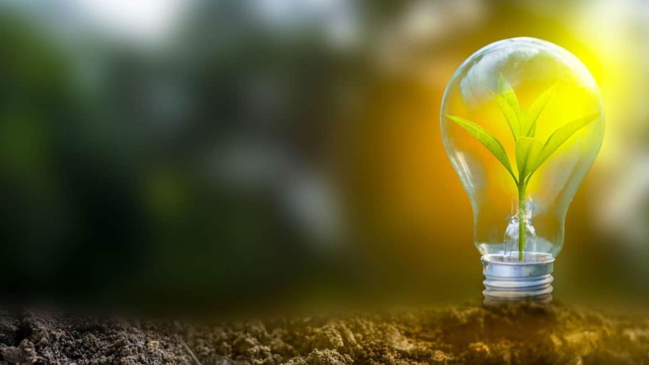 advancements in renewable energy technology in New Zealand – The Proven Path to Growth in NZ