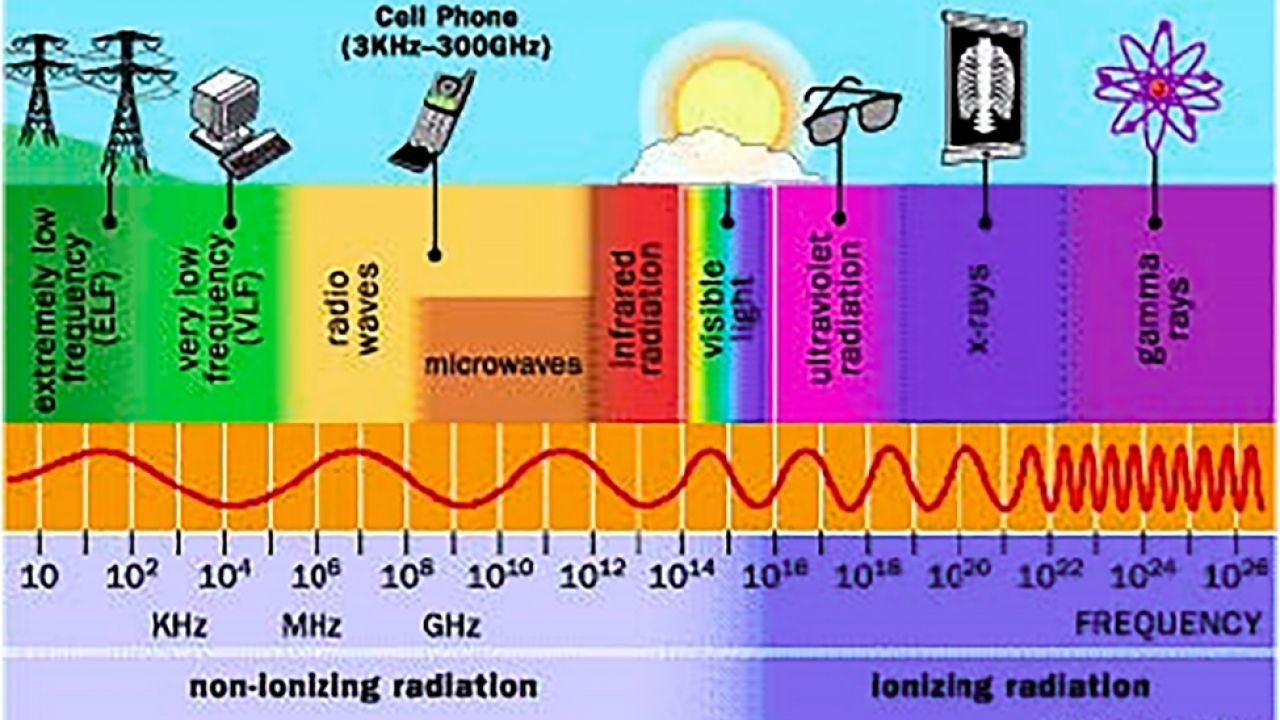 How to Reduce EMF Exposure for Better Sleep & Energy – Tips from New Zealand Industry Experts