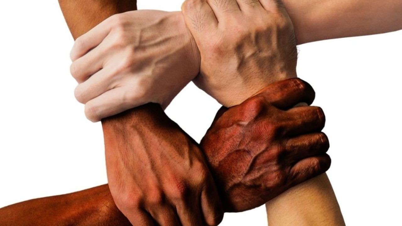 Why More Attention Should Be Given to Racial Inequality in New Zealand – The One Trend No Kiwi Can Afford to Miss