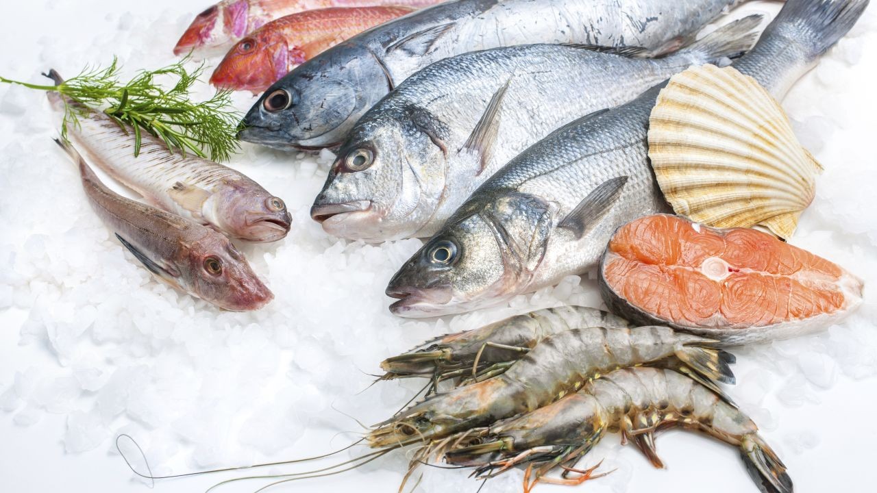 Case Study: How New Zealand’s Seafood Industry Became a Model for Sustainability – The Ultimate Kiwi Advantage
