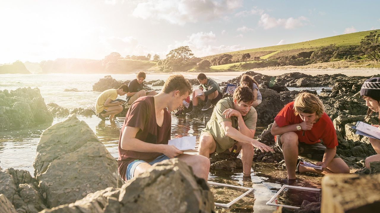 New Zealand’s Education System Has One of the Highest Satisfaction Rates in the World